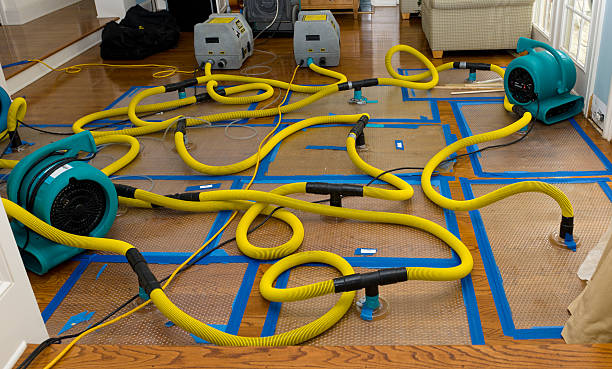 Professional Basement Flood Cleanup technician working in Pierce, CO